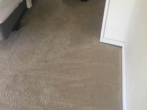 A2Z Carpet Cleaning