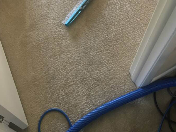 A2Z Carpet Cleaning