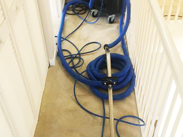 A2Z Carpet Cleaning