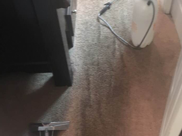 A2Z Carpet Cleaning