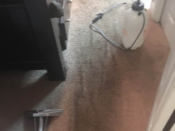 A2Z Carpet Cleaning