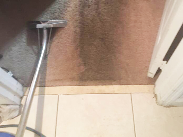 A2Z Carpet Cleaning